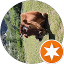 david bohn profile picture